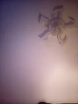 Fiesty findom40 online show from 10, 1, 2026