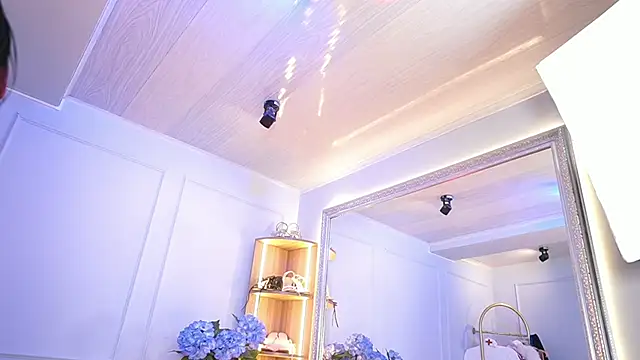 elasummer online show from 3, 4, 2026