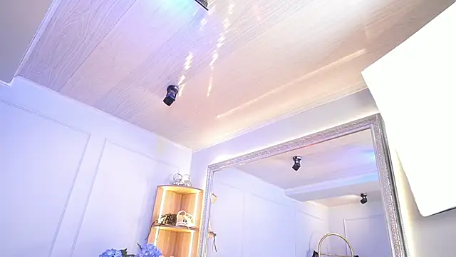 elasummer online show from 8, 4, 2026