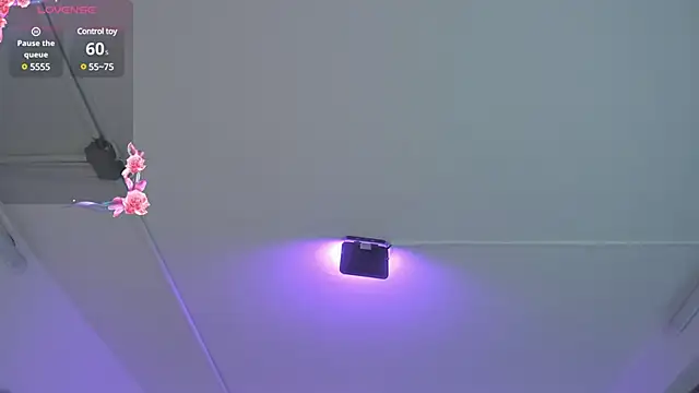 Meelanny ds online show from 20, 12, 2024