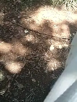 mehdi-l7away online show from 16, 4, 2026