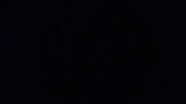 Raiye online show from 24, 1, 2025