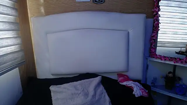 palmer mIix online show from 19, 12, 2024