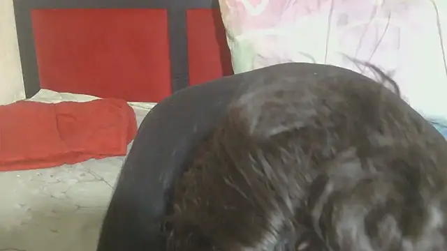 Snapshot of MaximTease24 chatting on 12, 6, 2026 MaximTease24 online show from 12, 6, 2026
