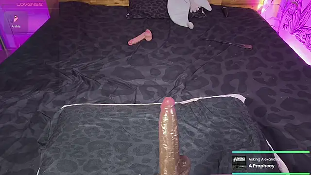 Snapshot of kellycakemeow chatting on 17, 6, 2026 kellycakemeow online show from 17, 6, 2026