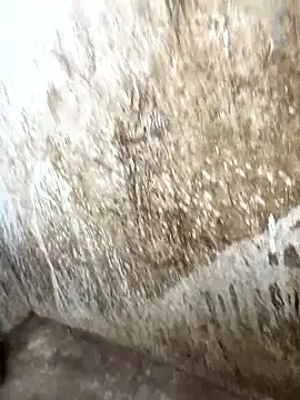 tamil000000 online show from 17, 1, 2026