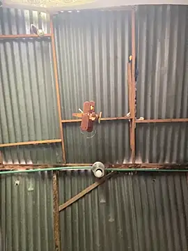 ElNegroRony online show from 2, 4, 2026