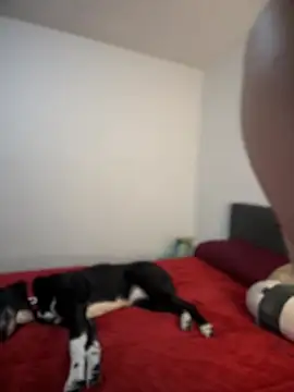 Snapshot of ariiel_ chatting on 3, 2, 2025 ariiel online show from 3, 2, 2025