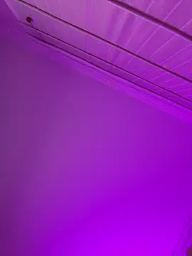 aurora divine online show from 15, 2, 2026