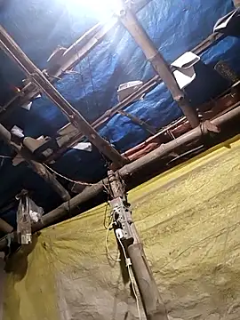 Gyan88 online show from 9, 3, 2026