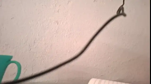 yazforeSolo online show from 5, 10, 2025