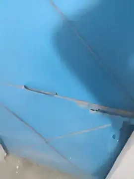 Snapshot of Masti441 chatting on 26, 2, 2025 Masti441 online show from 26, 2, 2025