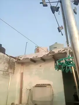 sailord online show from 29, 1, 2025