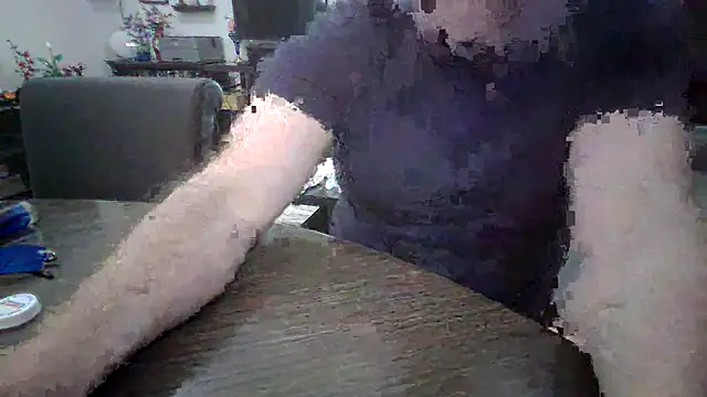 LARawAlways2 online show from 26, 2, 2026