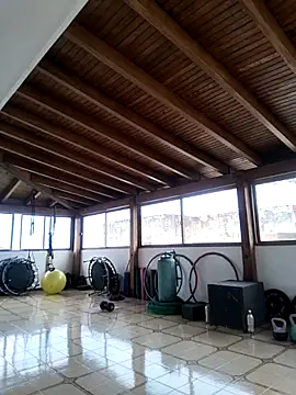 Alison fitness online show from 16, 4, 2026