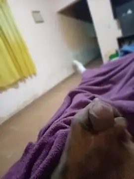 carloshot31 online show from 31, 3, 2026