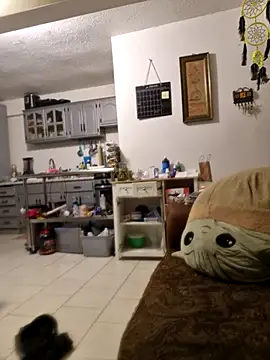 abdierkader online show from 12, 11, 2025