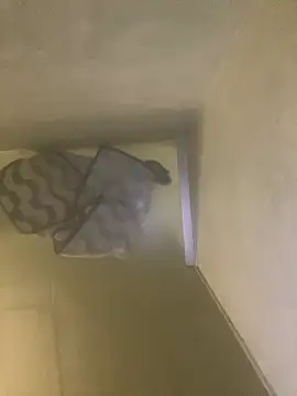 Snapshot of Tommy_y_Pamela chatting on 17, 2, 2026 Tommy y Pamela online show from 17, 2, 2026