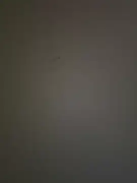 krishking1117 online show from 17, 12, 2024