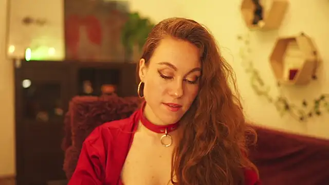 Berberis  Silene online show from 18, 12, 2024