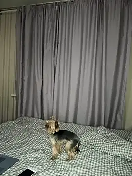 Cute Barbieee  online show from 6, 12, 2024