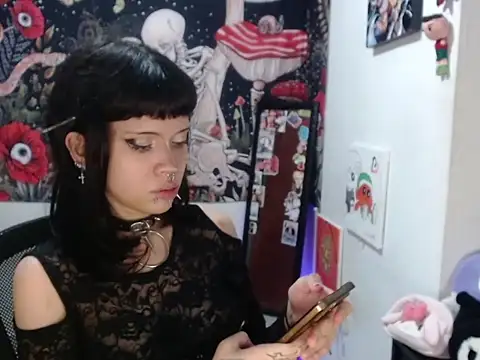 hachi kitty online show from 28, 4, 2026