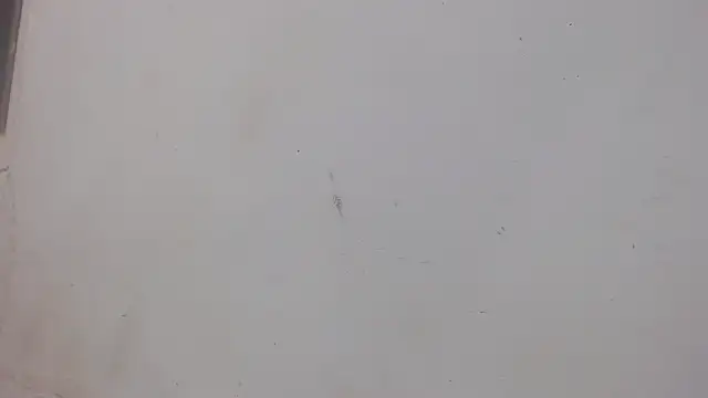 danilo302209 online show from 1, 2, 2025