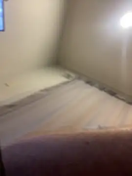 Snapshot of FrankJake99 chatting on 5, 11, 2025 FrankJake99 online show from 5, 11, 2025