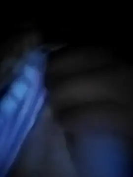 Snapshot of Danna-linyi chatting on 13, 12, 2024 Danna-linyi online show from 13, 12, 2024