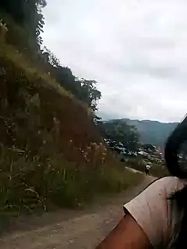 Snapshot of Danna-linyi chatting on 26, 1, 2025 Danna-linyi online show from 26, 1, 2025