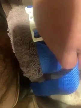 edgher646 online show from 11, 2, 2025