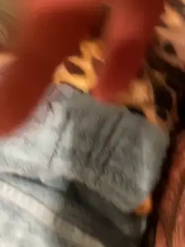 edgher646 online show from 24, 10, 2025