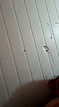 Snapshot of frotasso chatting on 1, 1, 2025 frotasso online show from 1, 1, 2025