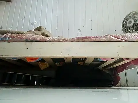 frotasso online show from 13, 2, 2026