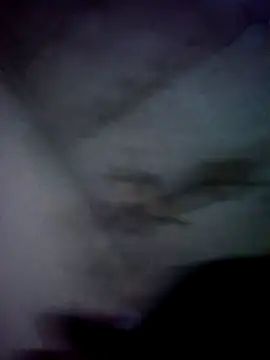 Snapshot of jolesin chatting on 21, 12, 2024 jolesin online show from 21, 12, 2024