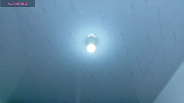 Beautifulkattia online show from 14, 2, 2026