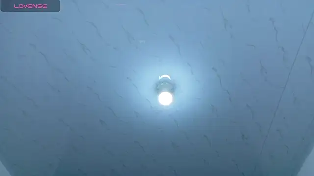 Beautifulkattia online show from 1, 3, 2026