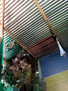 Snapshot of thamygomezz chatting on 9, 9, 2025 thamygomezz online show from 9, 9, 2025