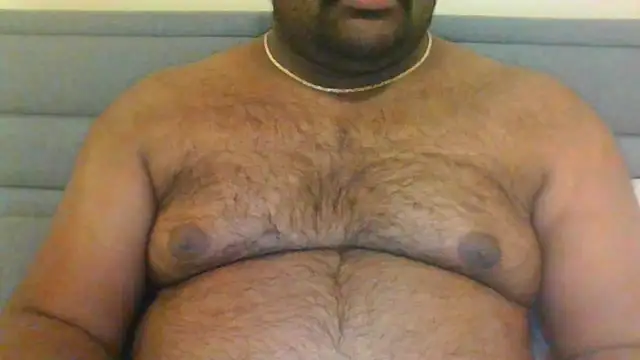 indianbearbot online show from 10, 1, 2025