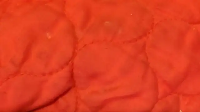 Huntzg23 online show from 28, 11, 2025