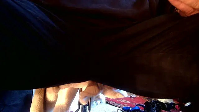 Snapshot of SilverandFox chatting on 10, 9, 2025 SilverandFox online show from 10, 9, 2025