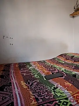 gatoalex89 online show from 8, 11, 2025