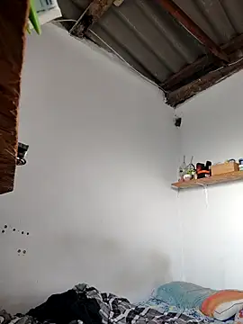 gatoalex89 online show from 14, 4, 2026