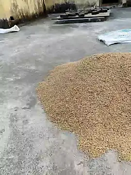 sweet suman online show from 18, 1, 2025