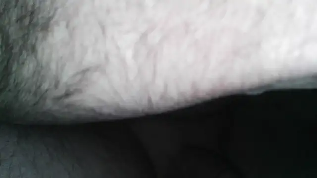 Snapshot of henry_county_couple2 chatting on 30, 4, 2026 henry county couple2 online show from 30, 4, 2026
