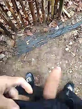 puertordic online show from 29, 12, 2024