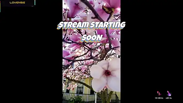 Snapshot of Hackensackneil chatting on 29, 7, 2026 Hackensackneil online show from 29, 7, 2026