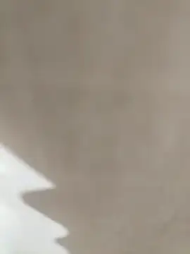 Snapshot of prnv00007 chatting on 1, 1, 2025 prnv00007 online show from 1, 1, 2025