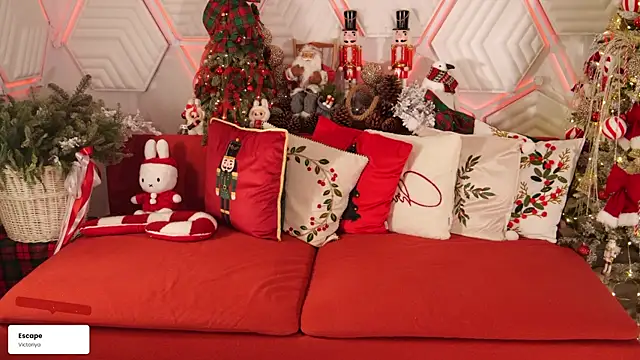 taanni bc online show from 15, 1, 2026