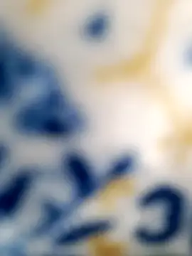 Tamil Vishalini online show from 29, 12, 2024